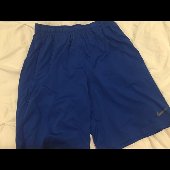 Large Blue Nike Dri Fit Shorts - Picture 1 of 2